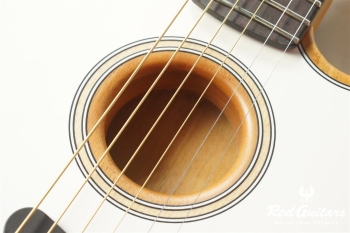 Acoustasonic Player Telecaster - Arctic White